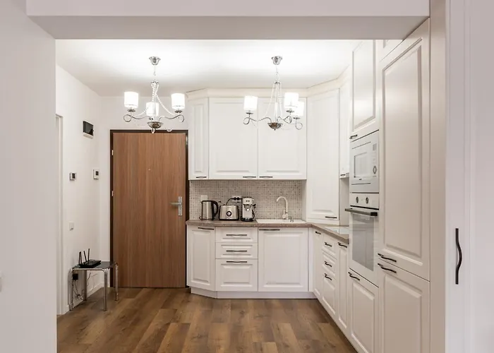 Viva * Κλουζ-Ναπόκα